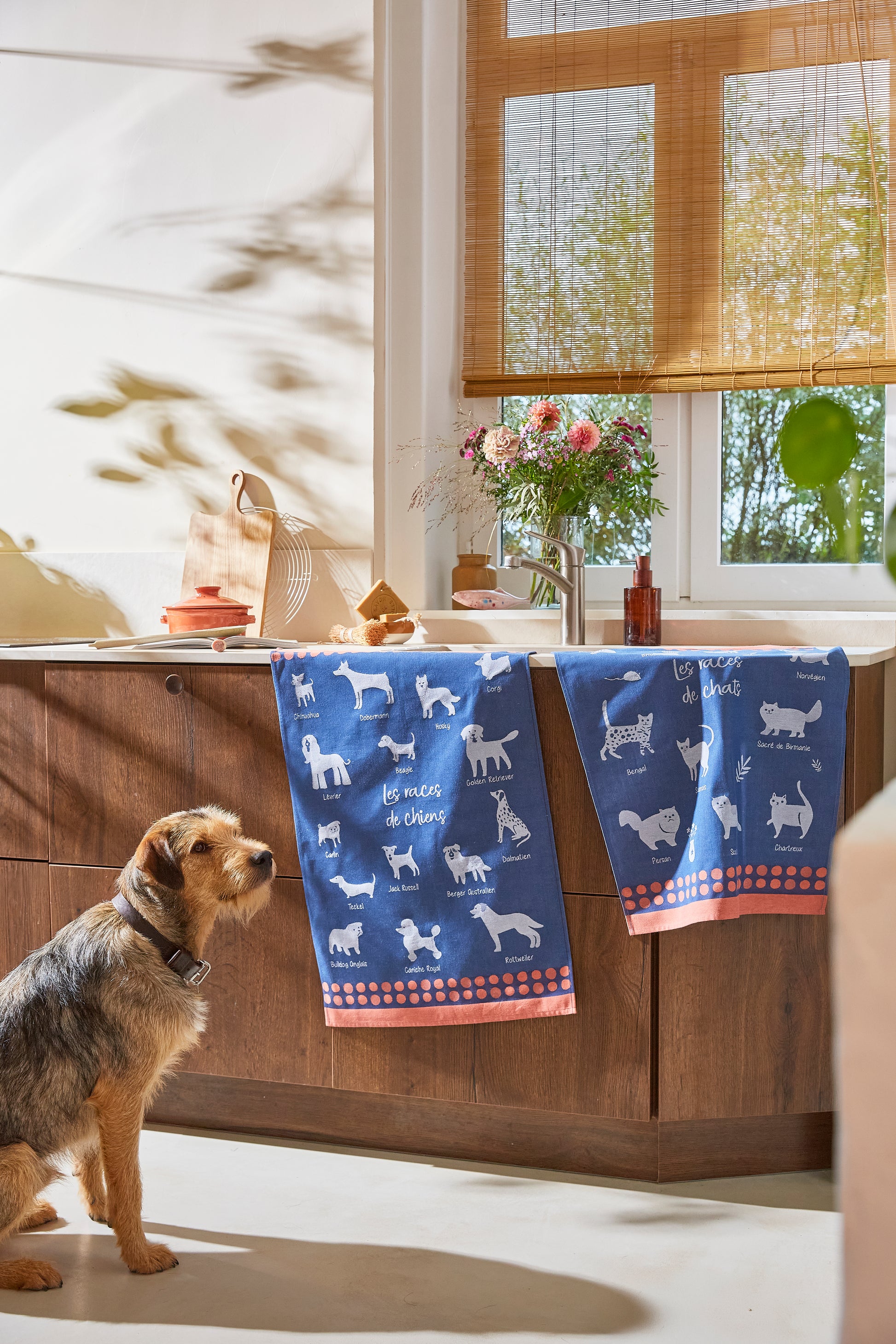 Torchon Les Races de Chiens