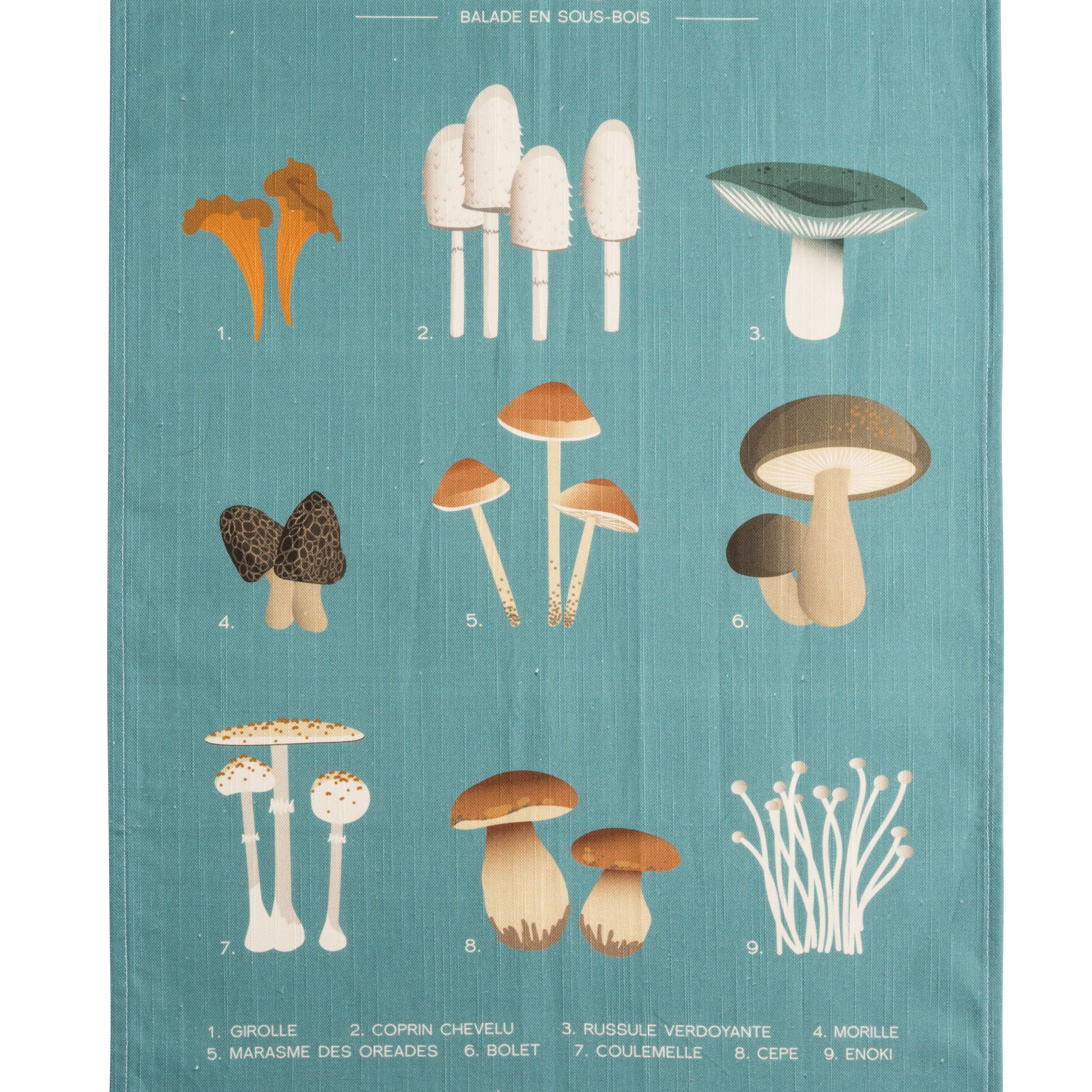 Walk in the Woods Rectangular Tea Towel