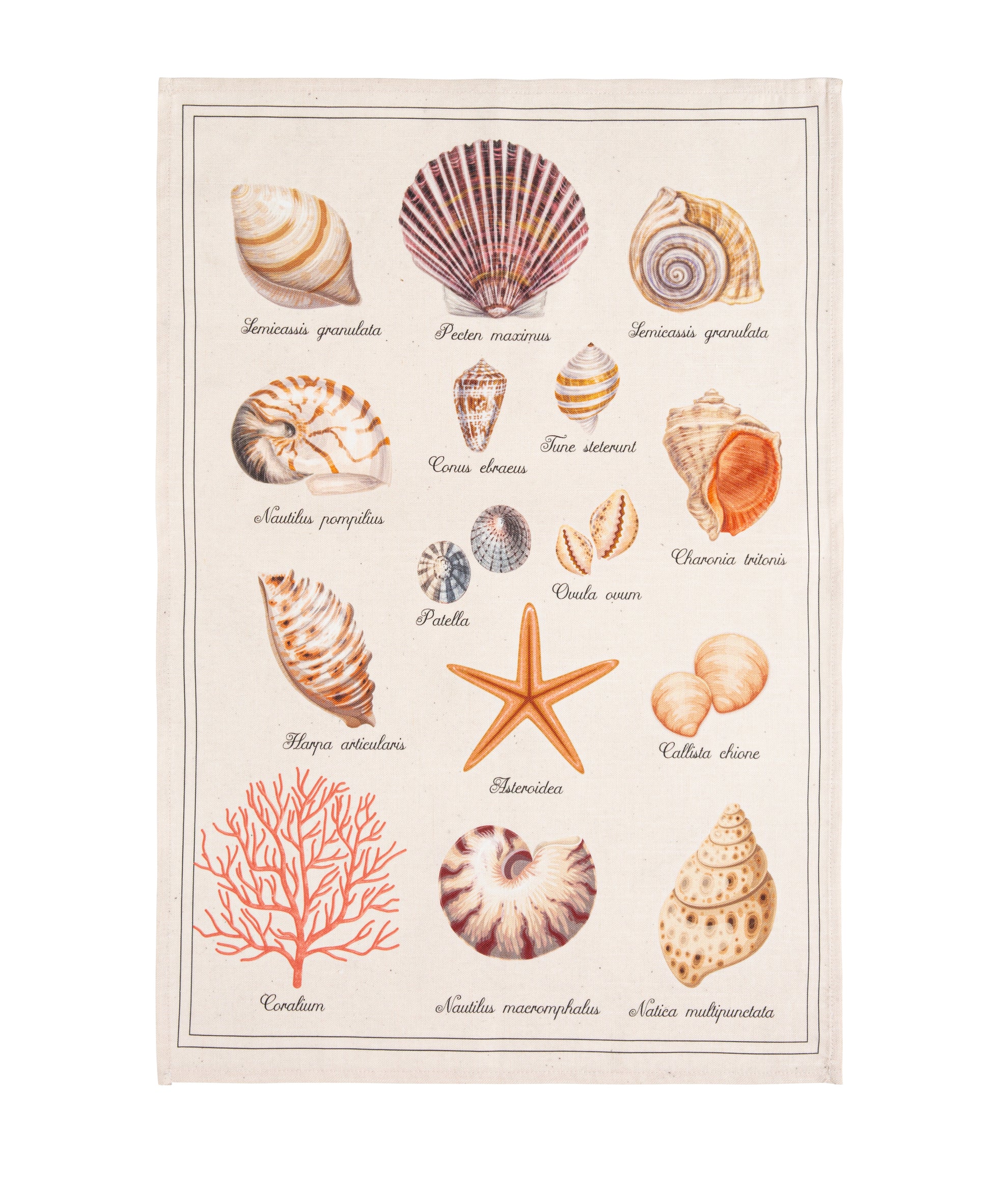 Rectangular Treasure of the Sea Dish Towel