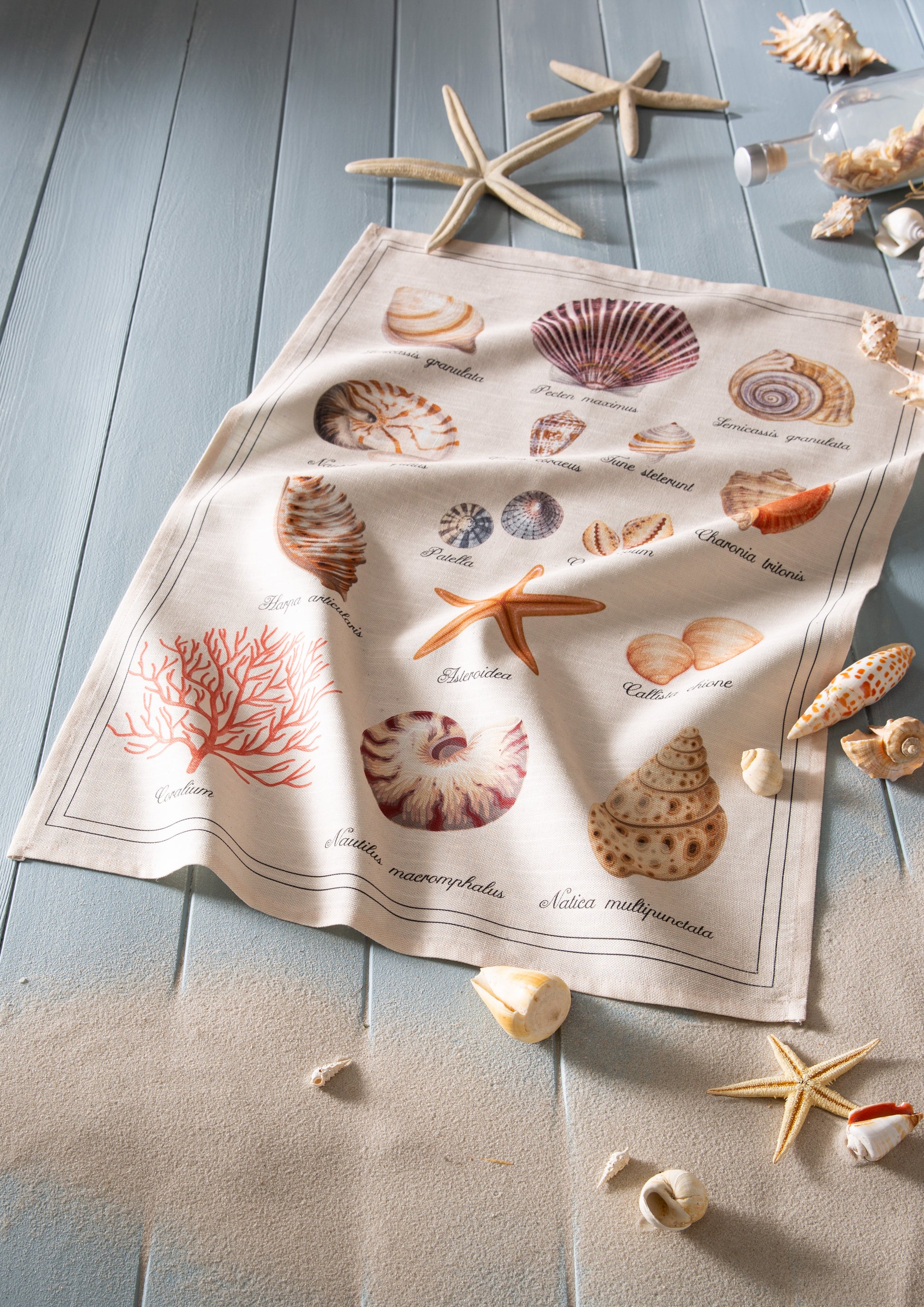 Rectangular Treasure of the Sea Dish Towel