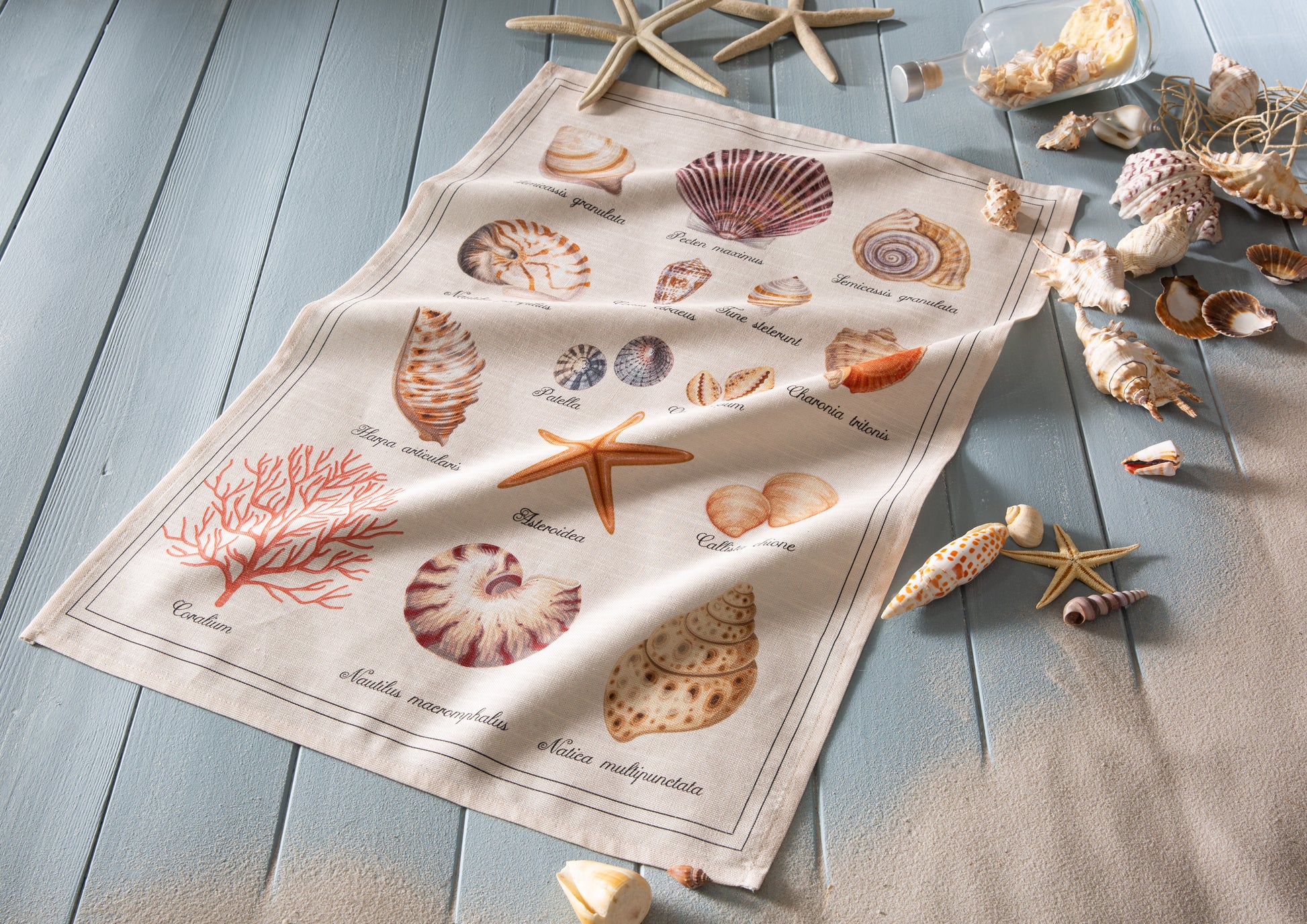 Rectangular Treasure of the Sea Dish Towel