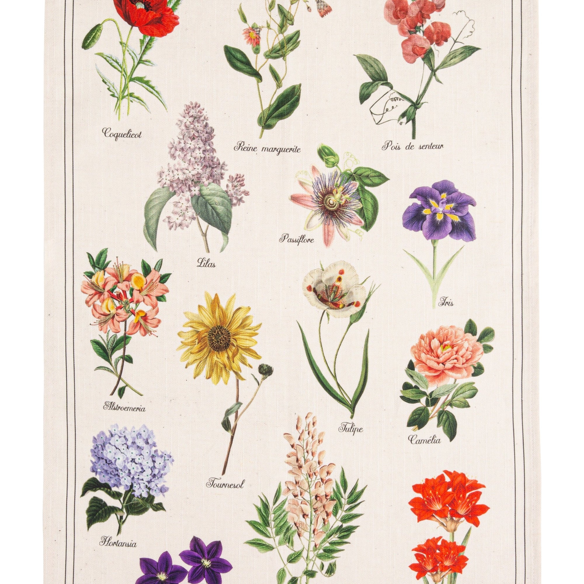 Torchon métis coton & lin imprimé Herbier – Coucke
